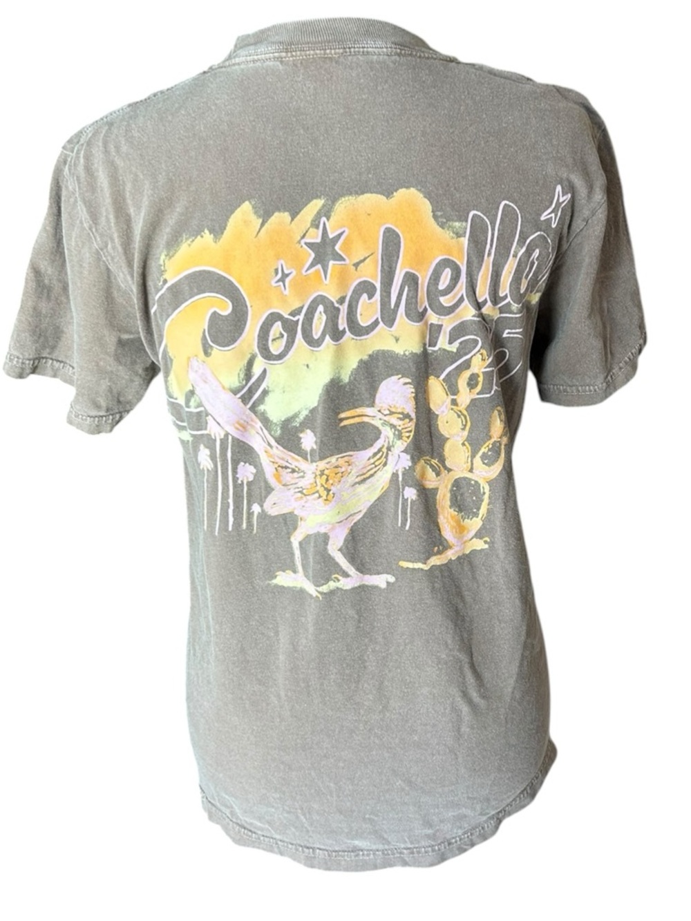 Coachella 2025 Graphic Tee Brown Faded Festival Shirt Baby Tee XS S